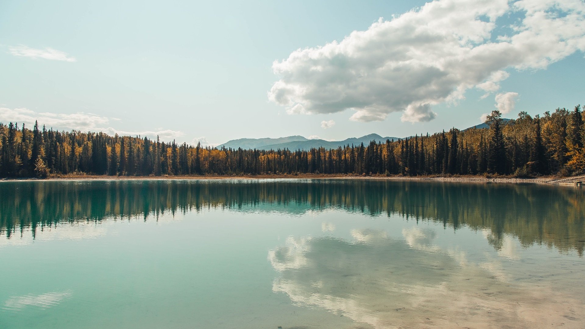 东亚杯中国女足晋级 球员状态稳定，中国队东亚杯名单