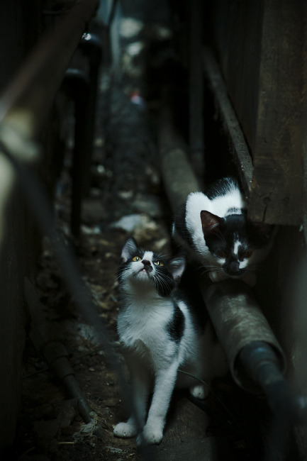 高节奏防守中如何保持对位准确率,如何防守节奏好速度快的人
