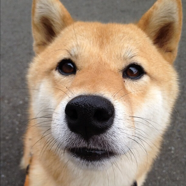 “四川省体育馆拳击赛：全球拳击迷的热血之约，谁能用拳头书写传奇？”