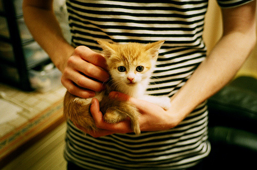 传中成功率是否比射门转化率更能反映锋线配合默契